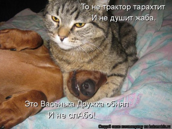 1359321489_96696246_large_1330447760__003 (570x427, 72Kb)