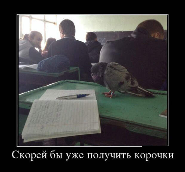 Демотиваторы (30 фото)