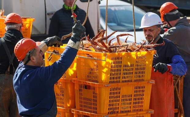 Рыболовам Дальнего Востока придется заплатить 17,4 миллиарда рублей