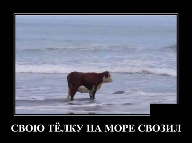 Демотиваторы (30 фото)