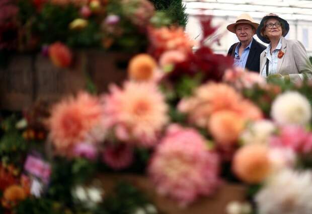 Цветочная выставка садов и цветов Chelsea Flower Show 2021
