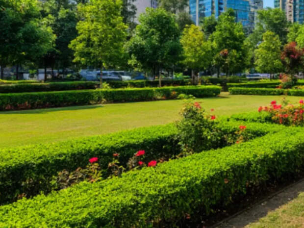 В Куйбышеве обновят «Городской сад»