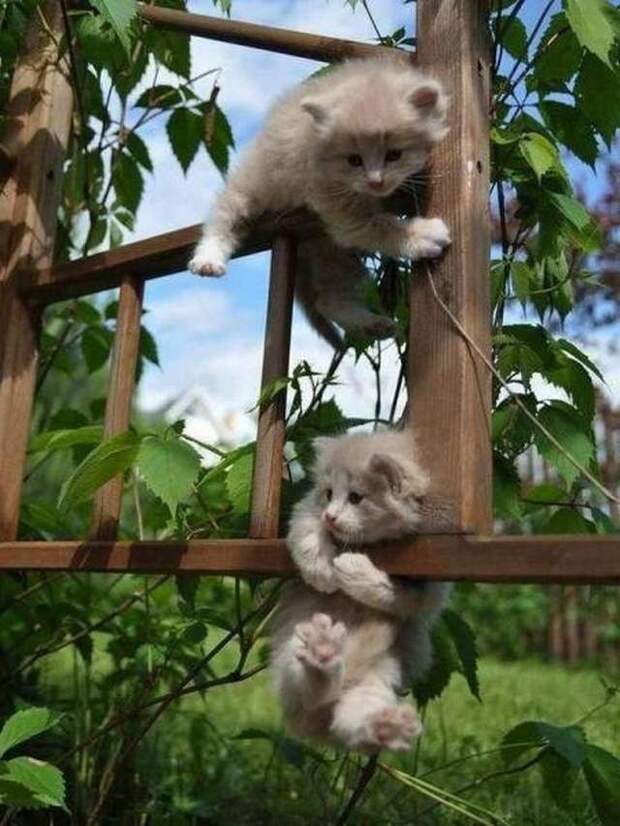 С добрым утром!