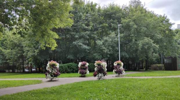 Благоустройство и озеленение территорий