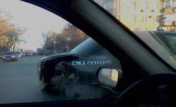 Прикольные картинки