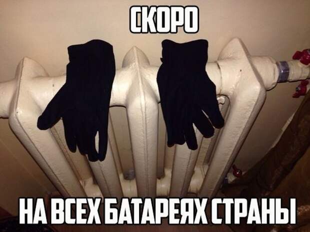 Картинки с забавными подписями