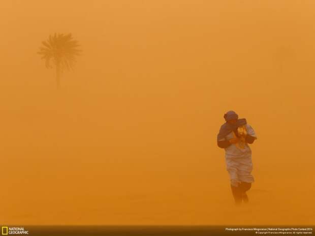 national_geographic_2014_photo_18