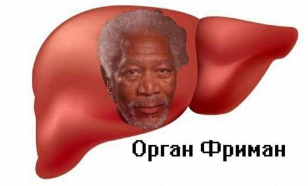 www.vsyako.net