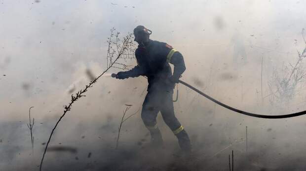 Власти Греции обвинили восьмерых казахстанцев в поджоге леса