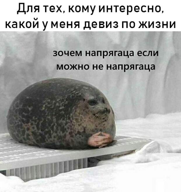 Подборка картинок (20 фото)