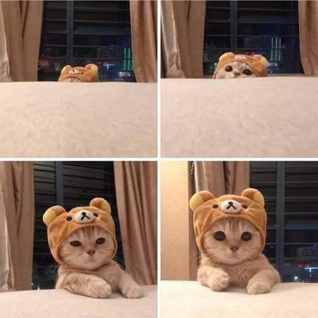 Прикольчики Прикольчики