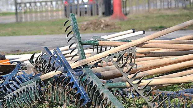 16 апреля дончане выйдут на субботник