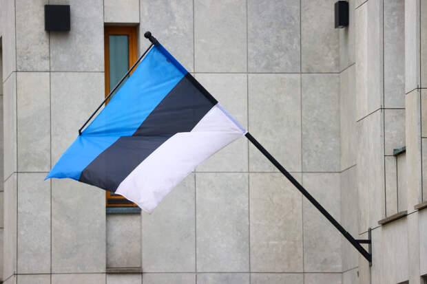 Журналист выступил с мрачным прогнозом для Эстонии из-за провокаций