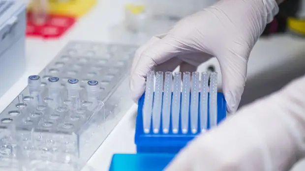 В Ростовской области подтвердили 355 случаев коронавируса за сутки