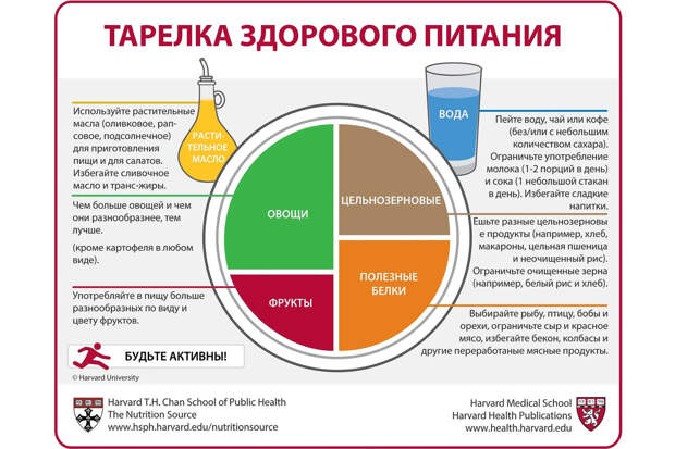 Терапевт Сидо: пожилым рекомендуется питание по методу гарвардской тарелки