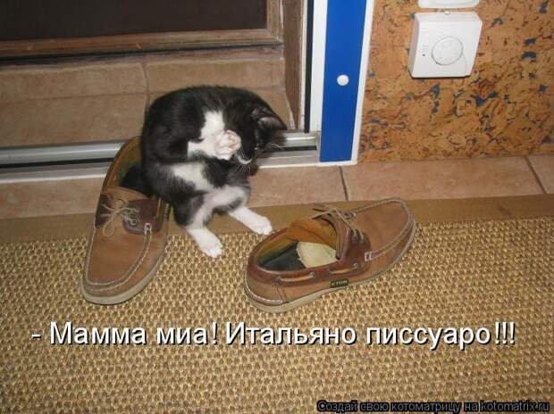 Котоматрица - - Мамма миа! Итальяно писсуаро!!!