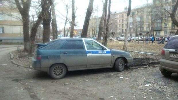 Веселые картинки Веселые картинки