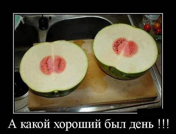 Веселая подборка свежих демотиваторов. Лучшие приколы