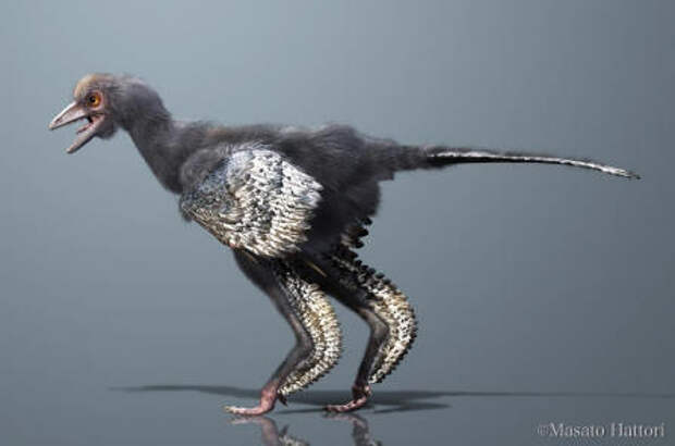 Ученые обнаружили останки первой на Земле птицы