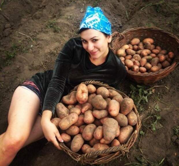 Это вам не аватарка