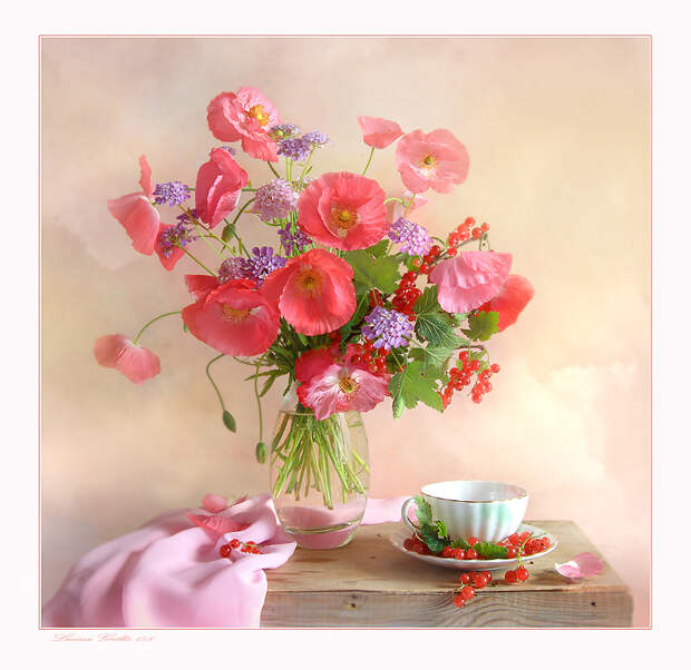 Фото жизнь - Luiza Gelts - Still  Lifes - Розовый мак