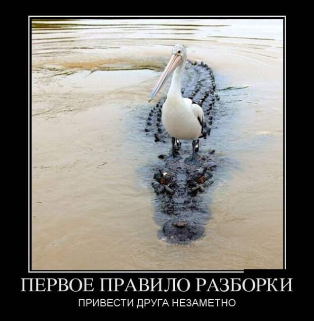 Демотиваторы (30 фото)