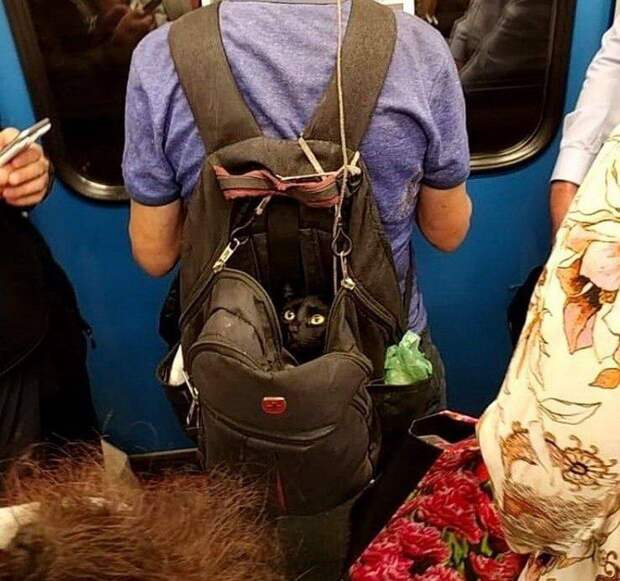 Подборка прикольных картинок