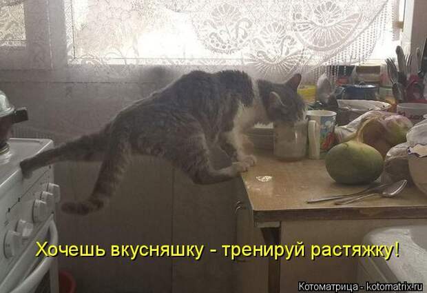 Забавные котоматрицы