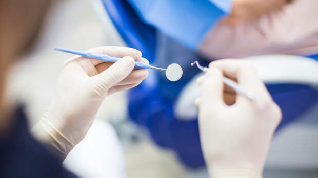 Стоматолог Алексеева: правильный прикус зависит от жевательной способности