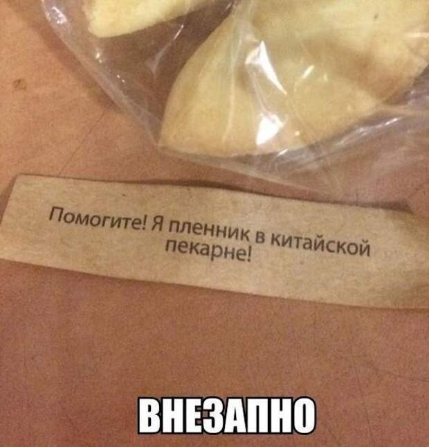 Смешные картинки с подписями (20 картинок)