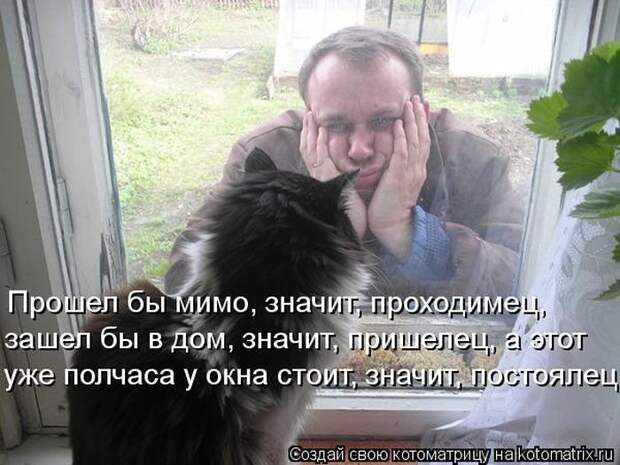 Лучшие котоматрицы за неделю