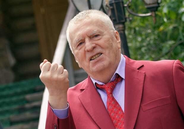 В Совфеде высказались об упоминании Жириновского и российских моделей в файлах Эпштейна