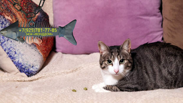 Скромный Борис