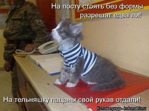 Котоматрицы(картинки с надписями)