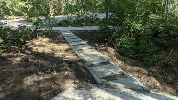 Парк им. Ленина в Барнауле / Фото: amic.ru