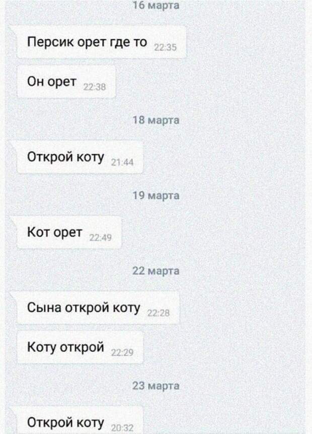 Типичная переписка с мамой