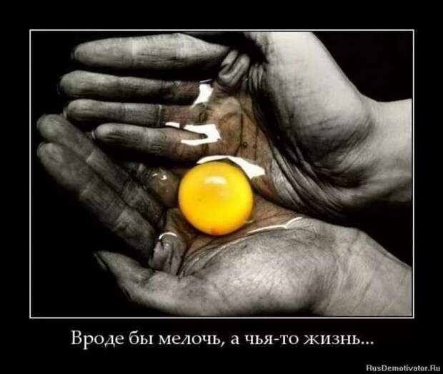 Прикольные демотиваторы с надписями. Подборка chert-poberi-dem-chert-poberi-dem-20140625062020-3 картинка chert-poberi-dem-20140625062020-3