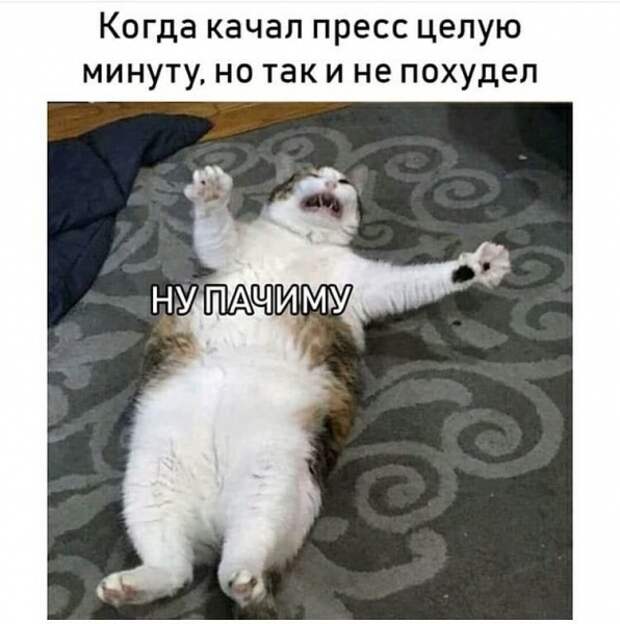 Субботний позитивчик (30 фото)