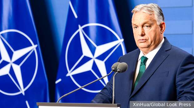 НАТО позвали на защиту от Украины