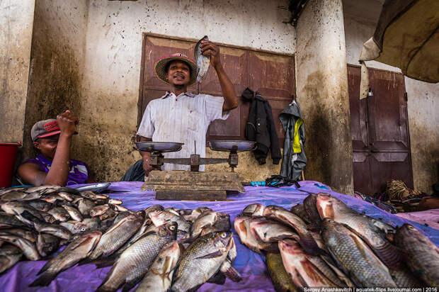 Санстанции здесь нет