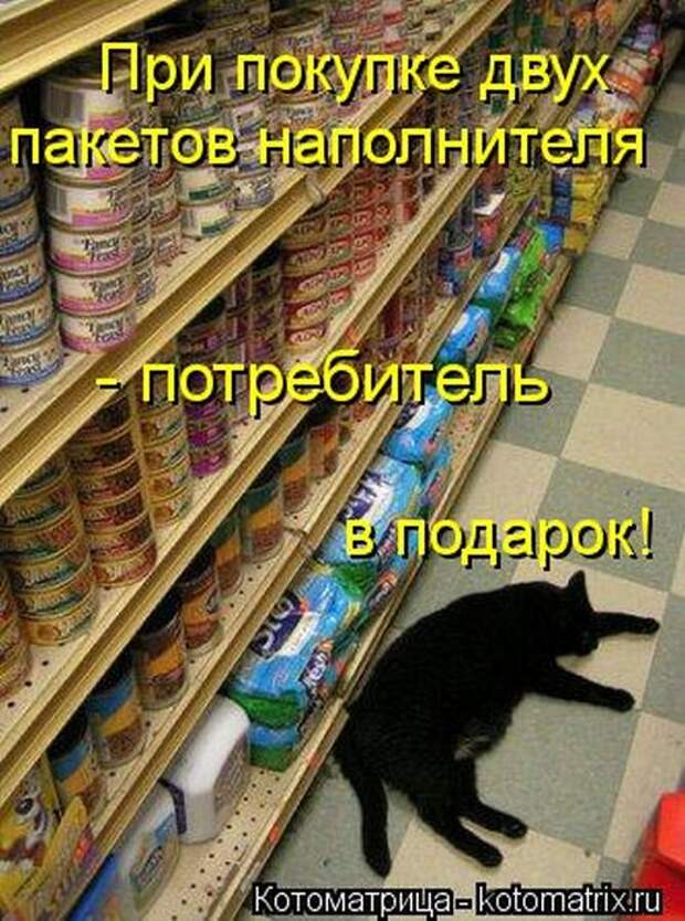 Котоматрицы (картинки с надписями)