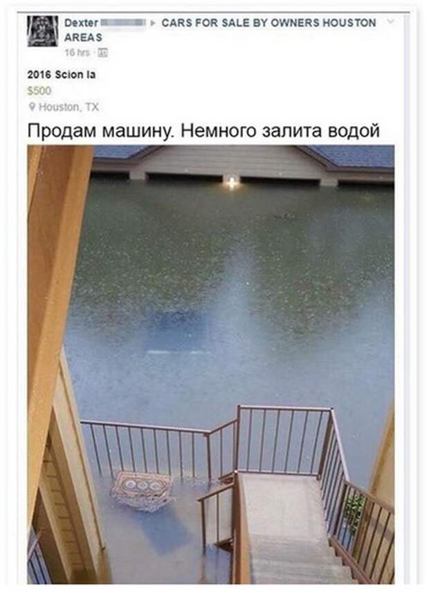 Подборка картинок. Дневной выпуск (50 фото)