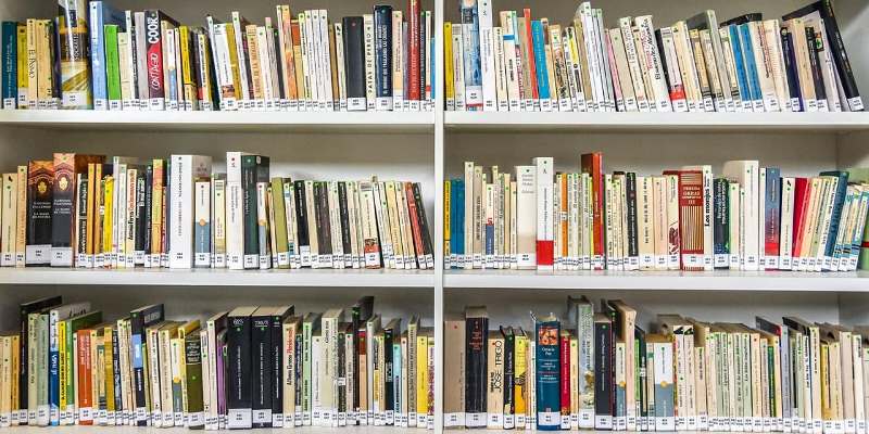 Книголюбы примут участие в восьмом этапе проекта «Списанные книги»