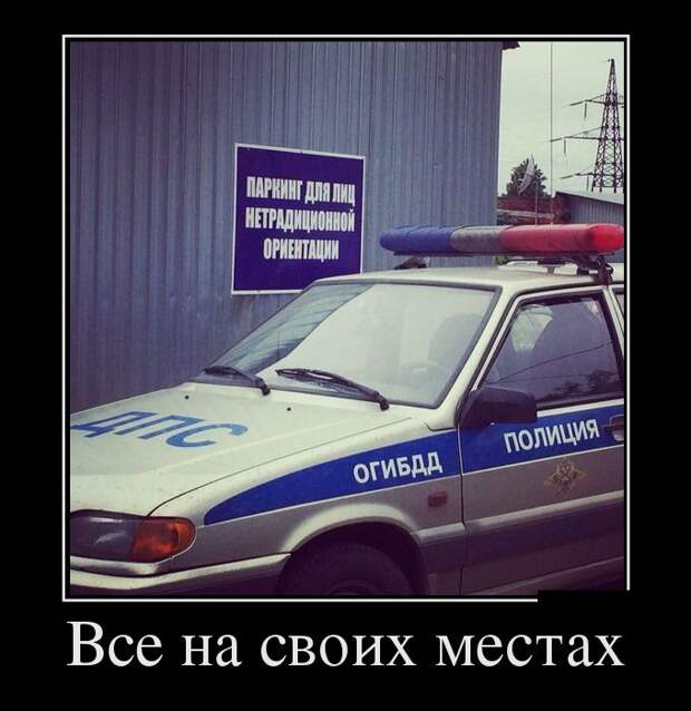 Демотиваторы №1216 (30 фото)