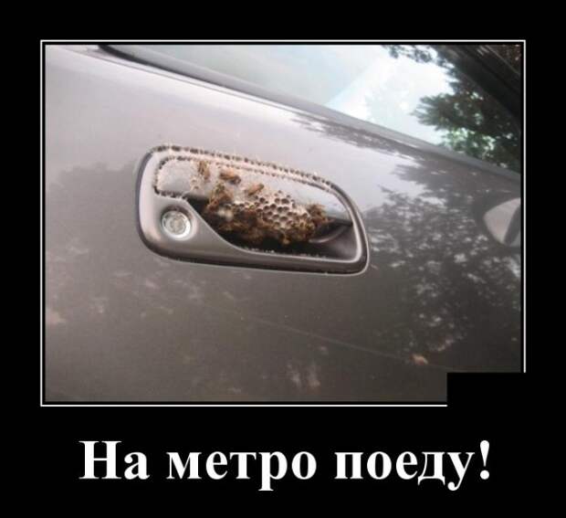 Демотиваторы (30 фото)