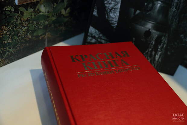 В Минприроды РФ опровергли слухи о разрешении на отстрел краснокнижных животных