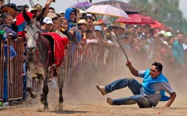 Прикольные картинки абавсём:D (05.05.16)