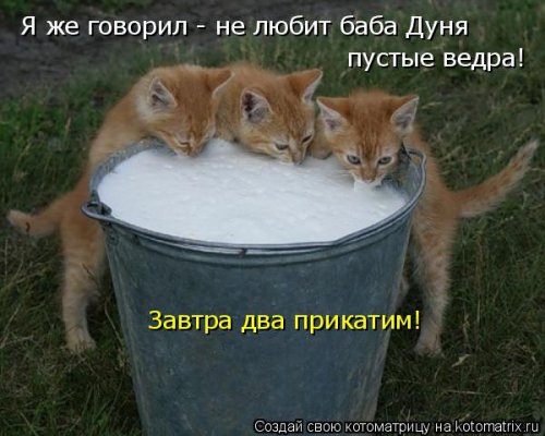 Свежая котоматрица (22 шт)