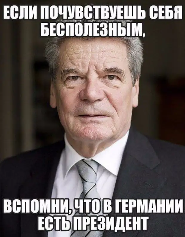 Почувствовал. Мария Олимпиева Рязань Единая Россия. Чувствуешь себя бесполезным вспомни что в Германии есть президент. Президент Германии Мем. Мемы про президента Германии.