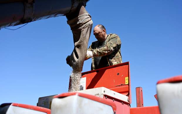 В России не заметили жалобы фермеров на рост цен на удобрения